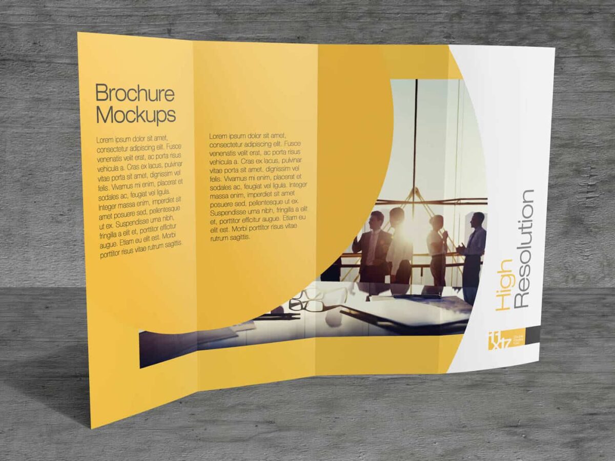  11×17 Double parallel Fold Brochure Mockups 