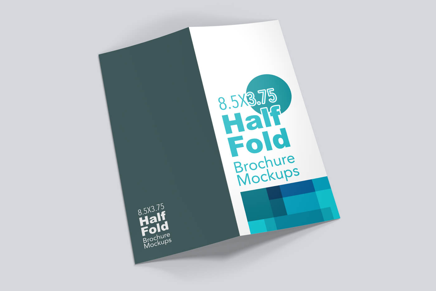  8.5x5.5-Half-Fold-Vertical-Brochure-Mockup-02 